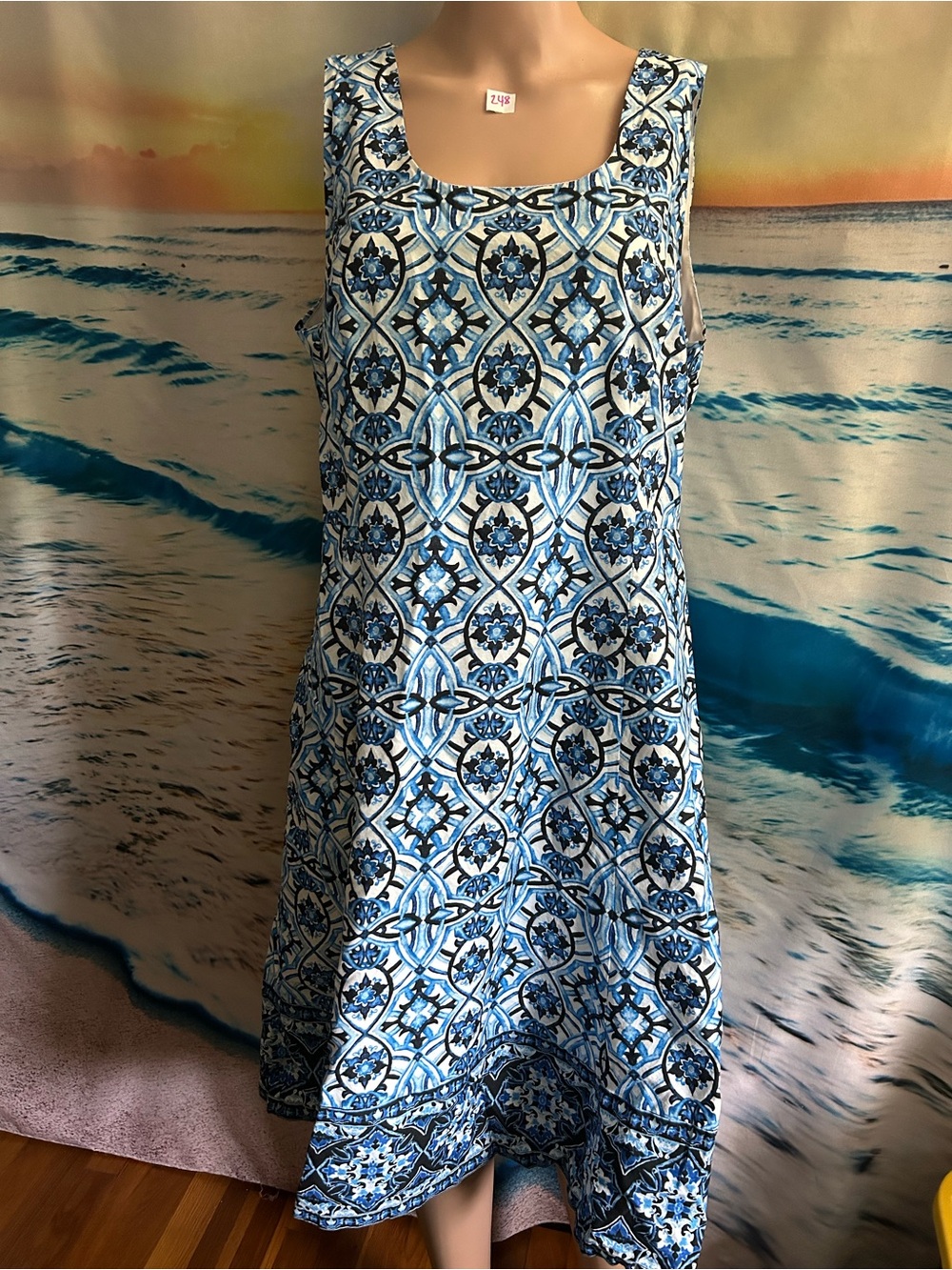 The Limited Women’s Blue & White Floral Sleeveless Printed A-Line Dress 14
